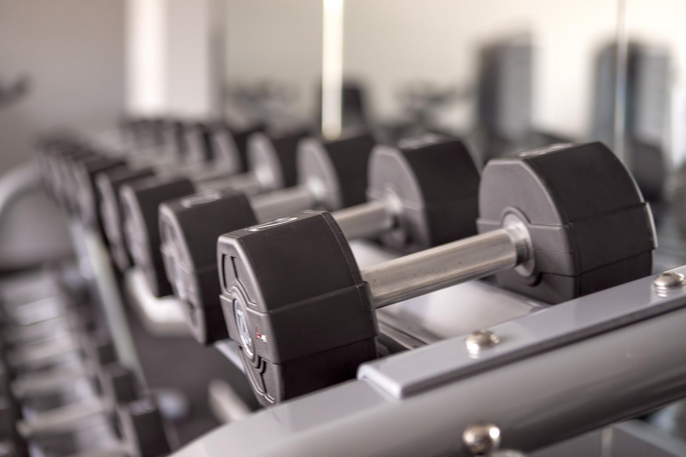 מאלינסקה Luxury Hotel Riva מראה חיצוני תמונה Dumbbells on a rack